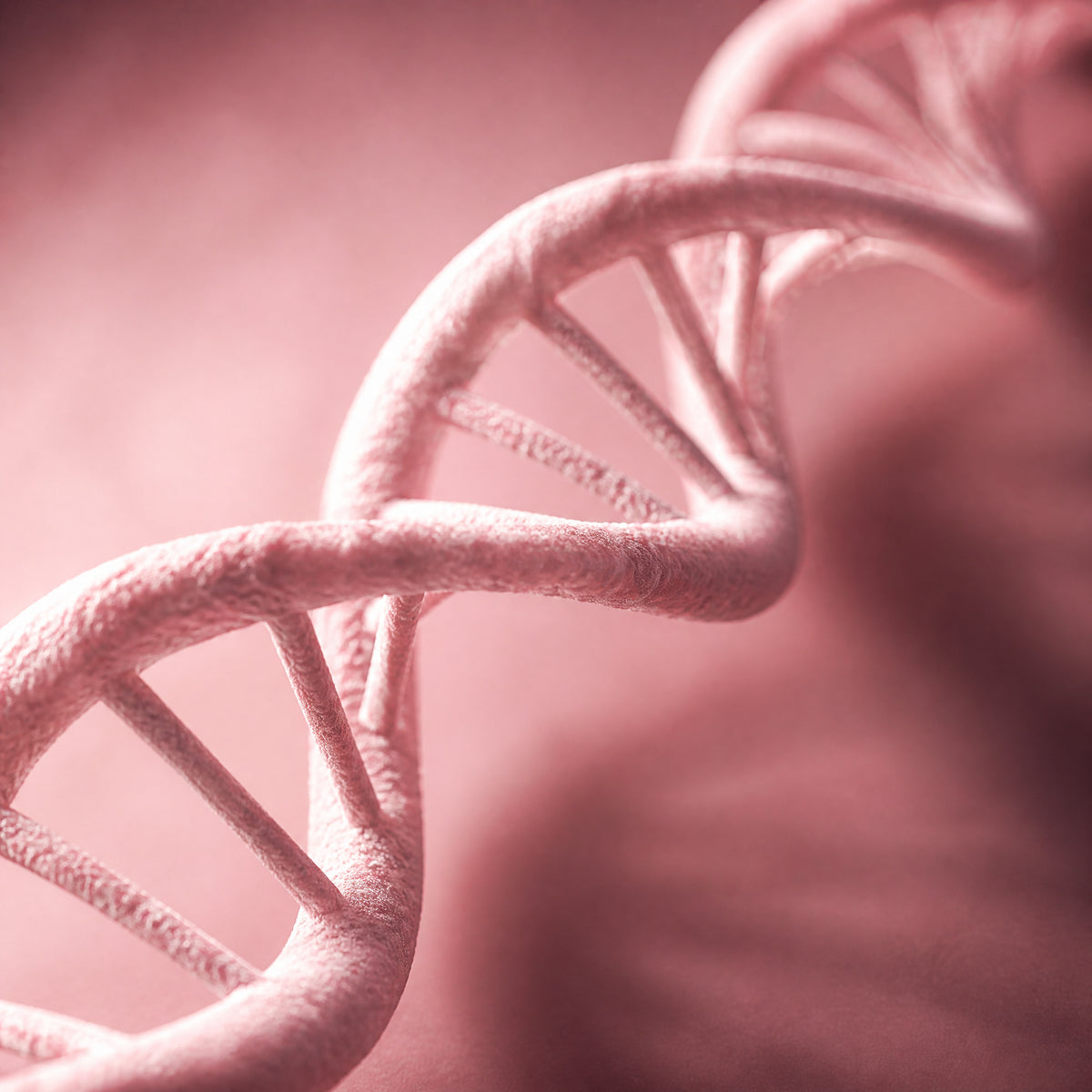 Polynucleotide double helix rendered in soft blush pink, representing PDRN skin repair and renewal research