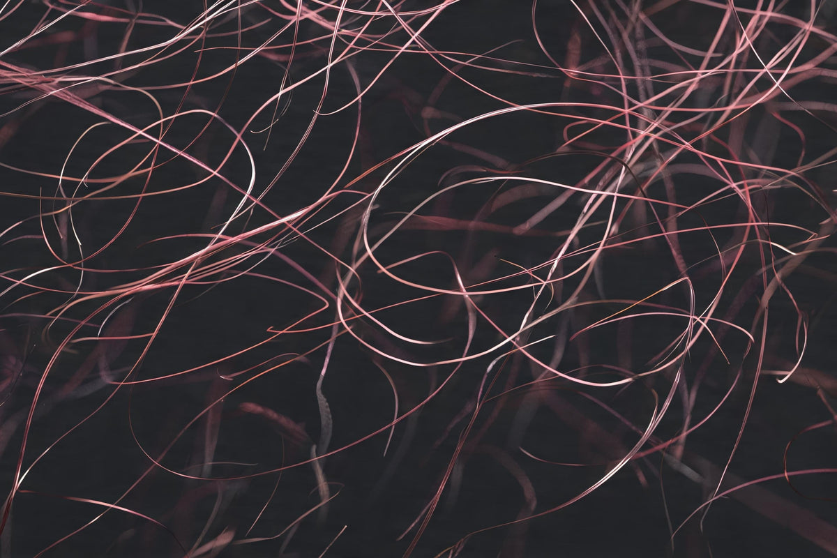 Fine rose-coloured strands drifting across a dark graphite ground