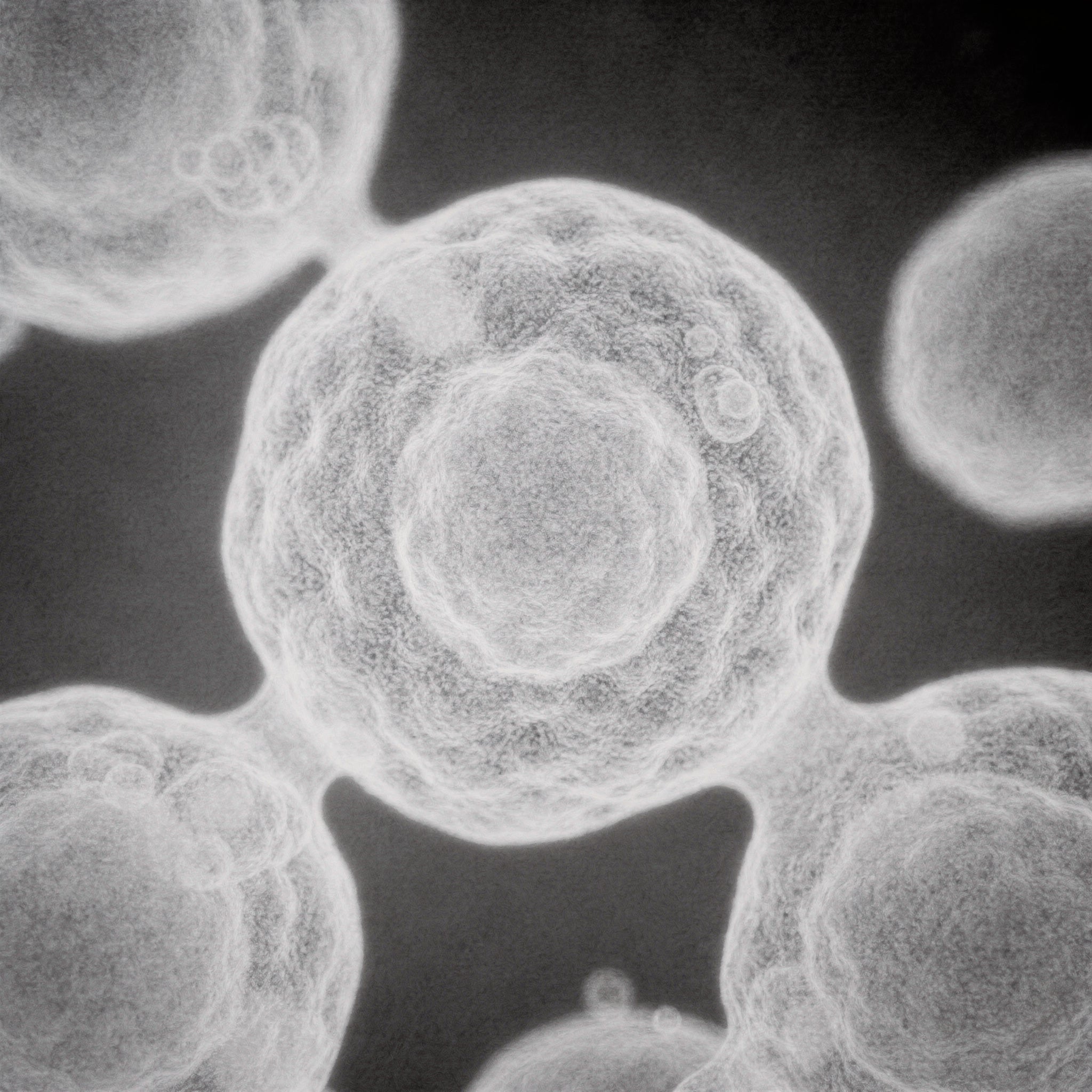 Electron-microscope style view of a single skin cell in cool pearl grey, representing Acetyl Hexapeptide-8 expression-line research
