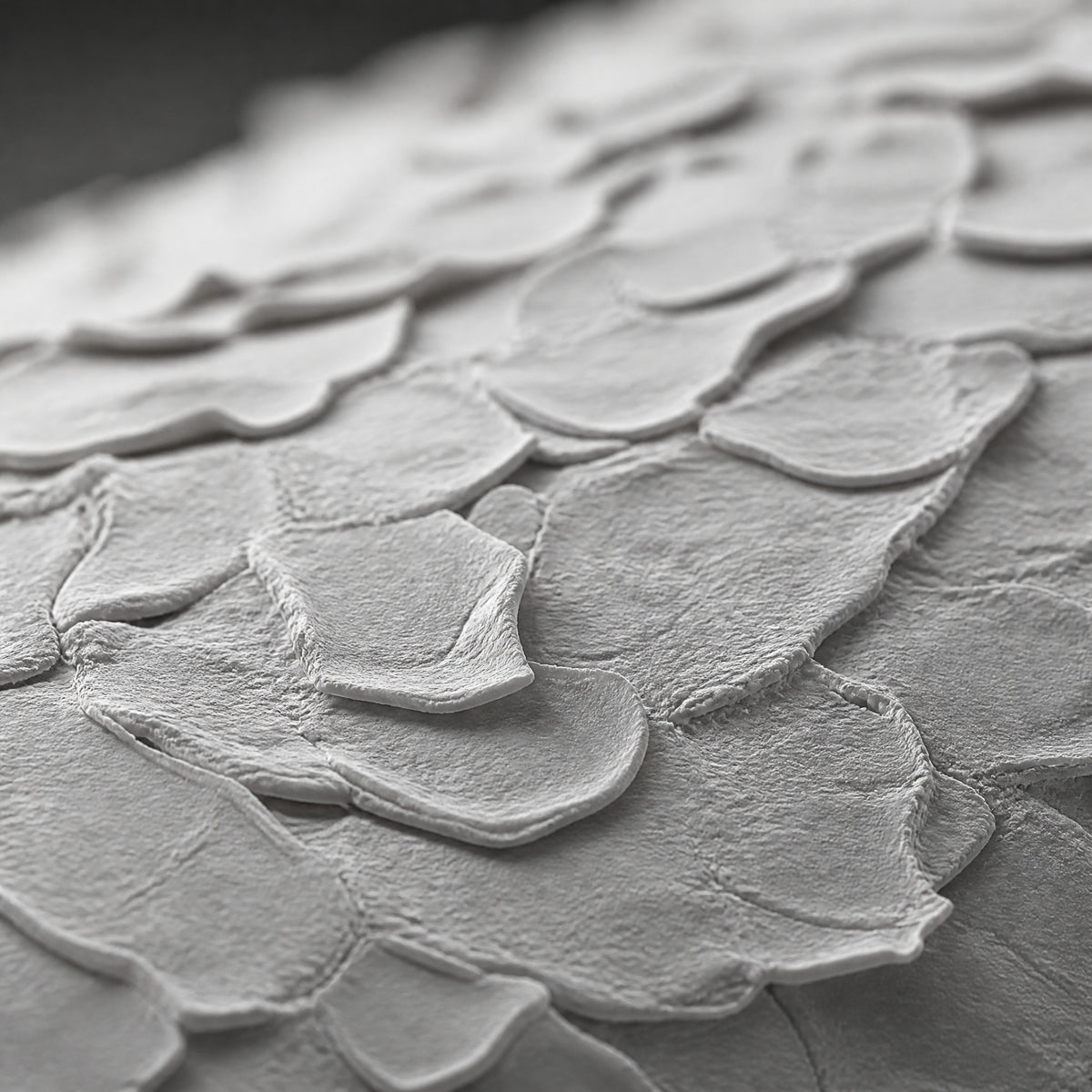 Skin surface at cell scale, the layer a silicone replica records