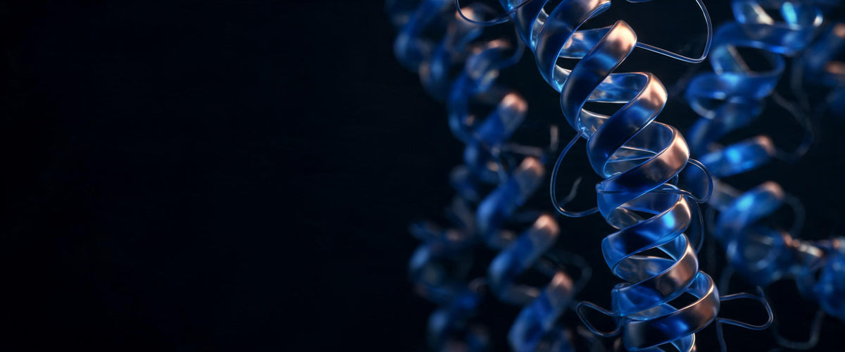 Close-up scientific visualisation of coiled peptide helices in clinical blue and copper against a dark ground - the science behind Skingenetix peptide formulations